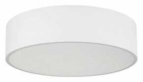 Накладной светильник Arlight TOR PILL 022103(3) в Нытве - nytva.ok-mebel.com | фото