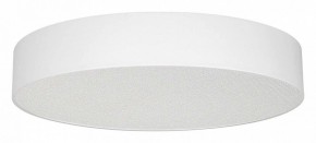 Накладной светильник Arlight TOR PILL 022131(3) в Нытве - nytva.ok-mebel.com | фото
