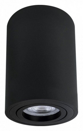 Накладной светильник Arte Lamp Sentry A1566PL-1BK в Нытве - nytva.ok-mebel.com | фото