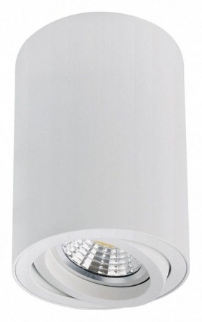 Накладной светильник Arte Lamp Sentry A1566PL-1WH в Нытве - nytva.ok-mebel.com | фото