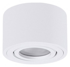 Накладной светильник Arte Lamp Unito A0550PL-1WH в Нытве - nytva.ok-mebel.com | фото