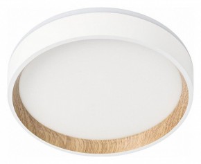 Накладной светильник Citilux Etalon CL750180 в Нытве - nytva.ok-mebel.com | фото