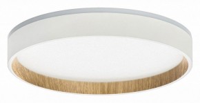 Накладной светильник Citilux Etalon CL750240 в Нытве - nytva.ok-mebel.com | фото