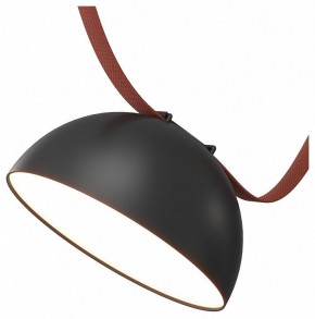 Накладной светильник Denkirs Belty Flow DK5660-BK в Нытве - nytva.ok-mebel.com | фото