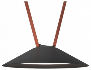 Накладной светильник Denkirs Belty Flow DK5664-BK в Нытве - nytva.ok-mebel.com | фото