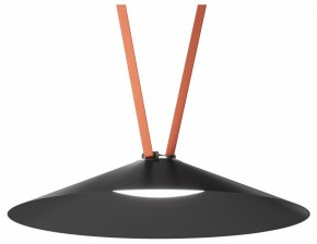 Накладной светильник Denkirs Belty Flow DK5668-BK в Нытве - nytva.ok-mebel.com | фото