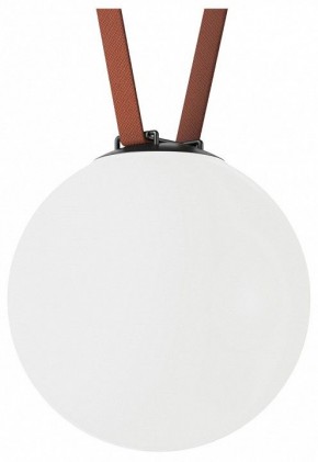 Накладной светильник Denkirs Belty Orb DK5554-BK в Нытве - nytva.ok-mebel.com | фото