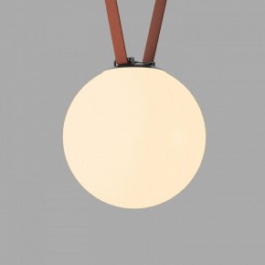 Накладной светильник Denkirs Belty Orb DK5555-BK в Нытве - nytva.ok-mebel.com | фото 2