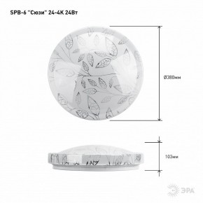 Накладной светильник Эра Классик SPB-6-24-4K (C) в Нытве - nytva.ok-mebel.com | фото 6