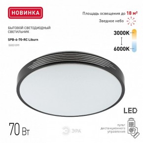 Накладной светильник Эра Классик SPB-6-70-RC Liburn в Нытве - nytva.ok-mebel.com | фото 10
