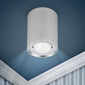 Накладной светильник Эра  OL1 GU10 SL/CH в Нытве - nytva.ok-mebel.com | фото 3