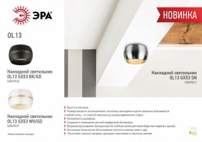 Накладной светильник Эра OL13 GX53 SN Б0049031 в Нытве - nytva.ok-mebel.com | фото 5