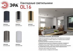 Накладной светильник Эра OL16 GU10 CH Б0049022 в Нытве - nytva.ok-mebel.com | фото 5