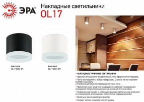 Накладной светильник Эра OL17 GX53 BK Б0049028 в Нытве - nytva.ok-mebel.com | фото 3