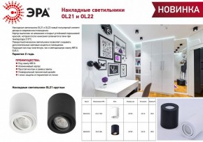 Накладной светильник Эра OL21 BK Б0054393 в Нытве - nytva.ok-mebel.com | фото 2