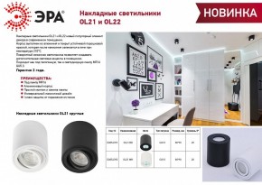 Накладной светильник Эра OL22 BK Б0054395 в Нытве - nytva.ok-mebel.com | фото 3