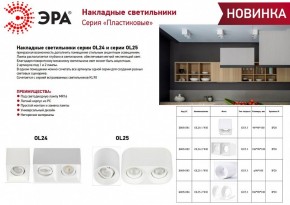 Накладной светильник Эра OL24-2 WH Б0054382 в Нытве - nytva.ok-mebel.com | фото 2