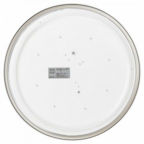 Накладной светильник Эра Relict Relict 38 SPB-6-40 4К WH в Нытве - nytva.ok-mebel.com | фото 4