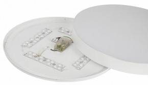 Накладной светильник Эра Relict Relict 48 Pult SPB-6-60-RC WH в Нытве - nytva.ok-mebel.com | фото 11