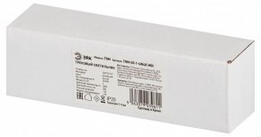Накладной светильник Эра  TRM-S5-1-6W4K-WH в Нытве - nytva.ok-mebel.com | фото 6