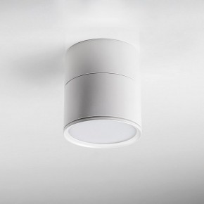 Накладной светильник Lightstar Acuto 215886 в Нытве - nytva.ok-mebel.com | фото 3