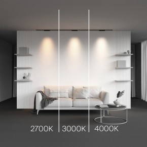 Накладной светильник Maytoni Points TR193-1-10W2.7K-M-B в Нытве - nytva.ok-mebel.com | фото 2