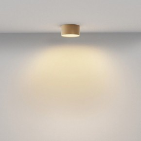 Накладной светильник Maytoni Zon C032CL-12W2.7K-RD-MG в Нытве - nytva.ok-mebel.com | фото 4