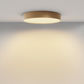 Накладной светильник Maytoni Zon C032CL-45W2.7K-RD-MG в Нытве - nytva.ok-mebel.com | фото 4