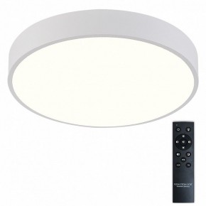 Накладной светильник Natali Kovaltseva  LED LAMPS 81112/5C в Нытве - nytva.ok-mebel.com | фото 2