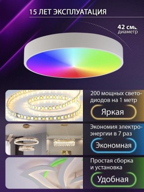 Накладной светильник Natali Kovaltseva MODERN LED LAMPS 81105/1C в Нытве - nytva.ok-mebel.com | фото 6