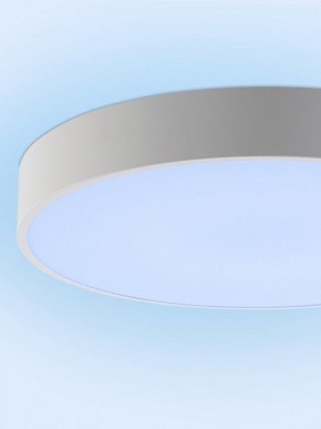 Накладной светильник Natali Kovaltseva MODERN LED LAMPS 81105/2C в Нытве - nytva.ok-mebel.com | фото 12