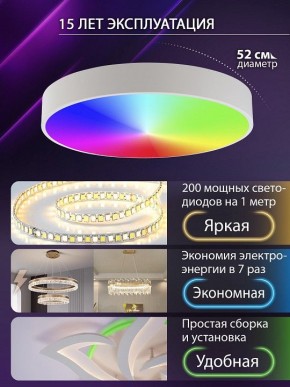 Накладной светильник Natali Kovaltseva MODERN LED LAMPS 81105/2C в Нытве - nytva.ok-mebel.com | фото 6