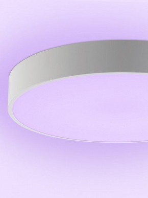 Накладной светильник Natali Kovaltseva MODERN LED LAMPS 81105/2C в Нытве - nytva.ok-mebel.com | фото 9