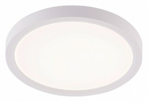 Накладной светильник Natali Kovaltseva PLAIN LED LAMPS 81113/1C в Нытве - nytva.ok-mebel.com | фото