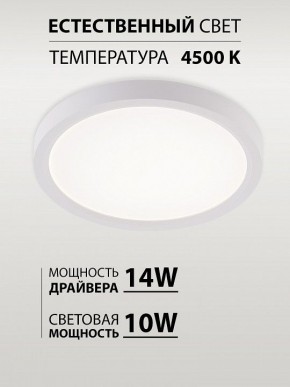 Накладной светильник Natali Kovaltseva PLAIN LED LAMPS 81113/1C в Нытве - nytva.ok-mebel.com | фото 4