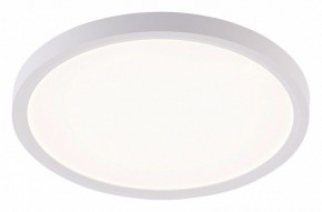Накладной светильник Natali Kovaltseva PLAIN LED LAMPS 81113/2C в Нытве - nytva.ok-mebel.com | фото