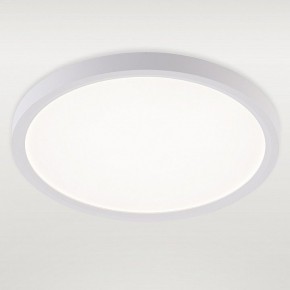 Накладной светильник Natali Kovaltseva PLAIN LED LAMPS 81113/2C в Нытве - nytva.ok-mebel.com | фото 2