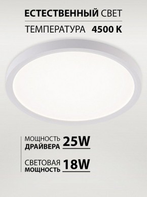 Накладной светильник Natali Kovaltseva PLAIN LED LAMPS 81113/2C в Нытве - nytva.ok-mebel.com | фото 3