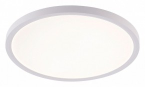 Накладной светильник Natali Kovaltseva PLAIN LED LAMPS 81113/3C в Нытве - nytva.ok-mebel.com | фото