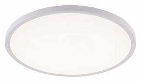 Накладной светильник Natali Kovaltseva PLAIN LED LAMPS 81113/4C в Нытве - nytva.ok-mebel.com | фото