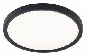 Накладной светильник Natali Kovaltseva PLAIN LED LAMPS 81114/2C в Нытве - nytva.ok-mebel.com | фото