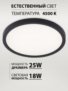Накладной светильник Natali Kovaltseva PLAIN LED LAMPS 81114/2C в Нытве - nytva.ok-mebel.com | фото 3