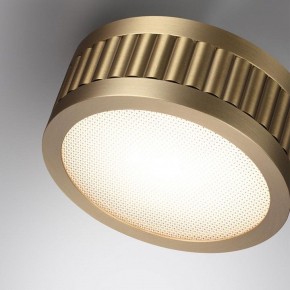 Накладной светильник Odeon Light Manchester 7013/7CL в Нытве - nytva.ok-mebel.com | фото 5