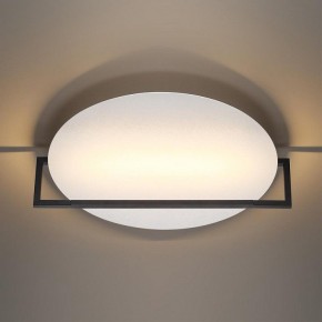 Накладной светильник Odeon Light Next 7015/20WL в Нытве - nytva.ok-mebel.com | фото 2
