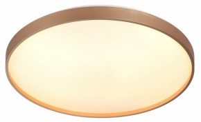 Накладной светильник Sonex Gaby 7783/EL в Нытве - nytva.ok-mebel.com | фото 5