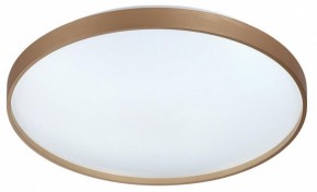 Накладной светильник Sonex Gaby 7783/EL в Нытве - nytva.ok-mebel.com | фото 6