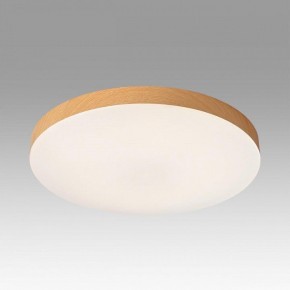 Накладной светильник Sonex Gamma 7761/50L в Нытве - nytva.ok-mebel.com | фото 3