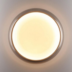 Накладной светильник Sonex PORTMAN 7777/DLN в Нытве - nytva.ok-mebel.com | фото 6