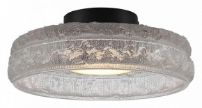 Накладной светильник ST-Luce ANTIKE SL6143.402.01 в Нытве - nytva.ok-mebel.com | фото 2