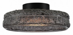 Накладной светильник ST-Luce ANTIKE SL6143.412.01 в Нытве - nytva.ok-mebel.com | фото 3